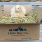 Rabbit Cuddly Toy