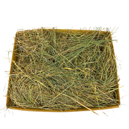 Rescue Appeal Meadow Mix
