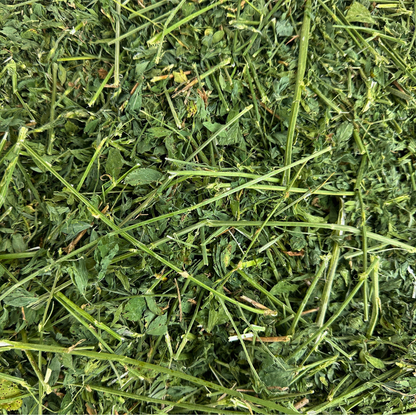 Rescue Appeal Alfalfa Hay