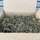 Echinacea Leaves