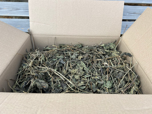 Echinacea Leaves