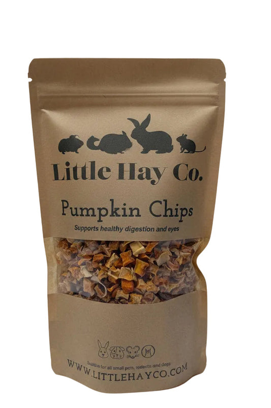 Pumpkin Chips