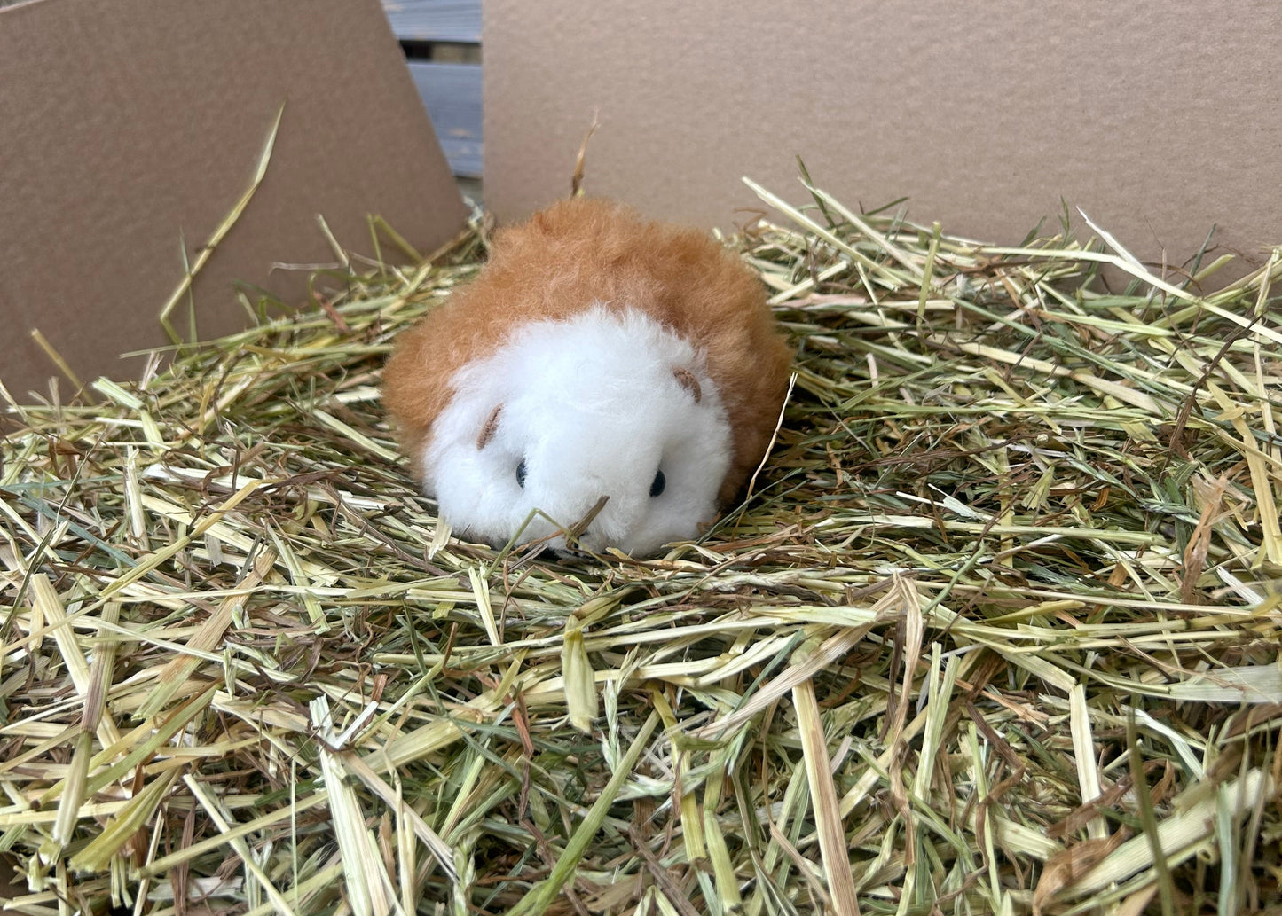 Guinea Pig Cuddly Toy