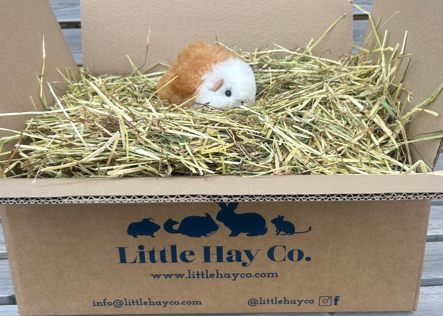 Guinea Pig Cuddly Toy