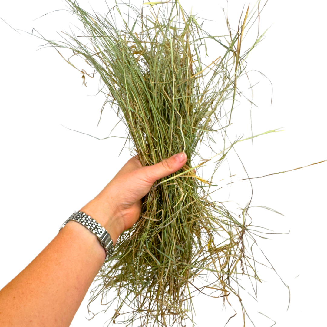 Meadow Mix