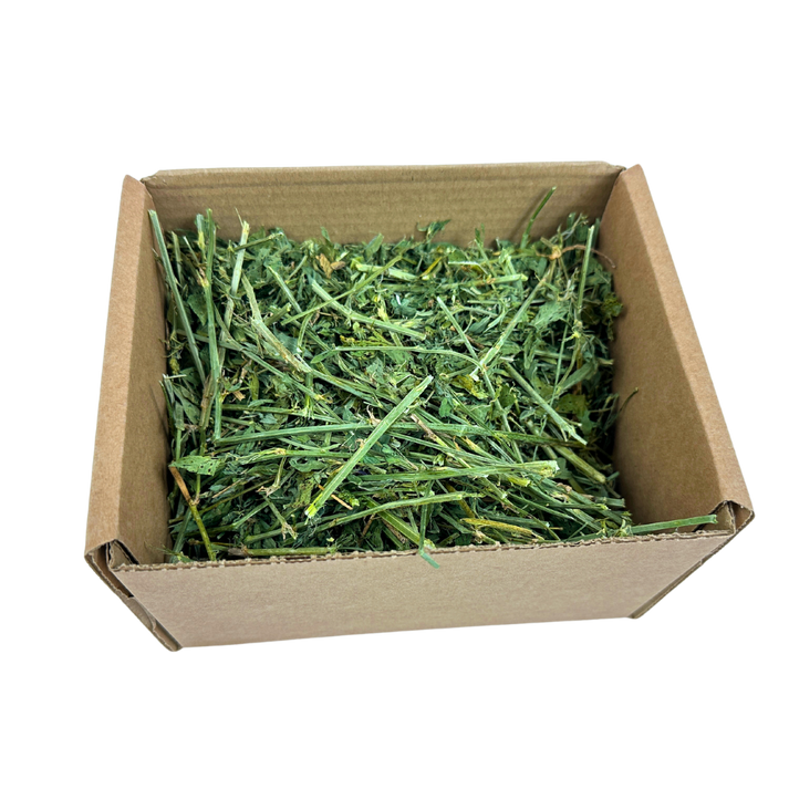 Delicious, Premium Hay Boxes in UK – The Little Hay Company