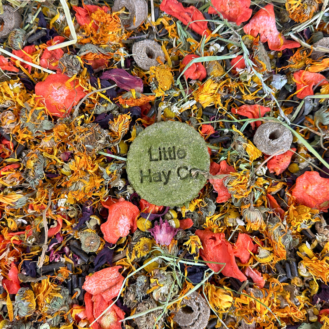 Autumn Forage Box