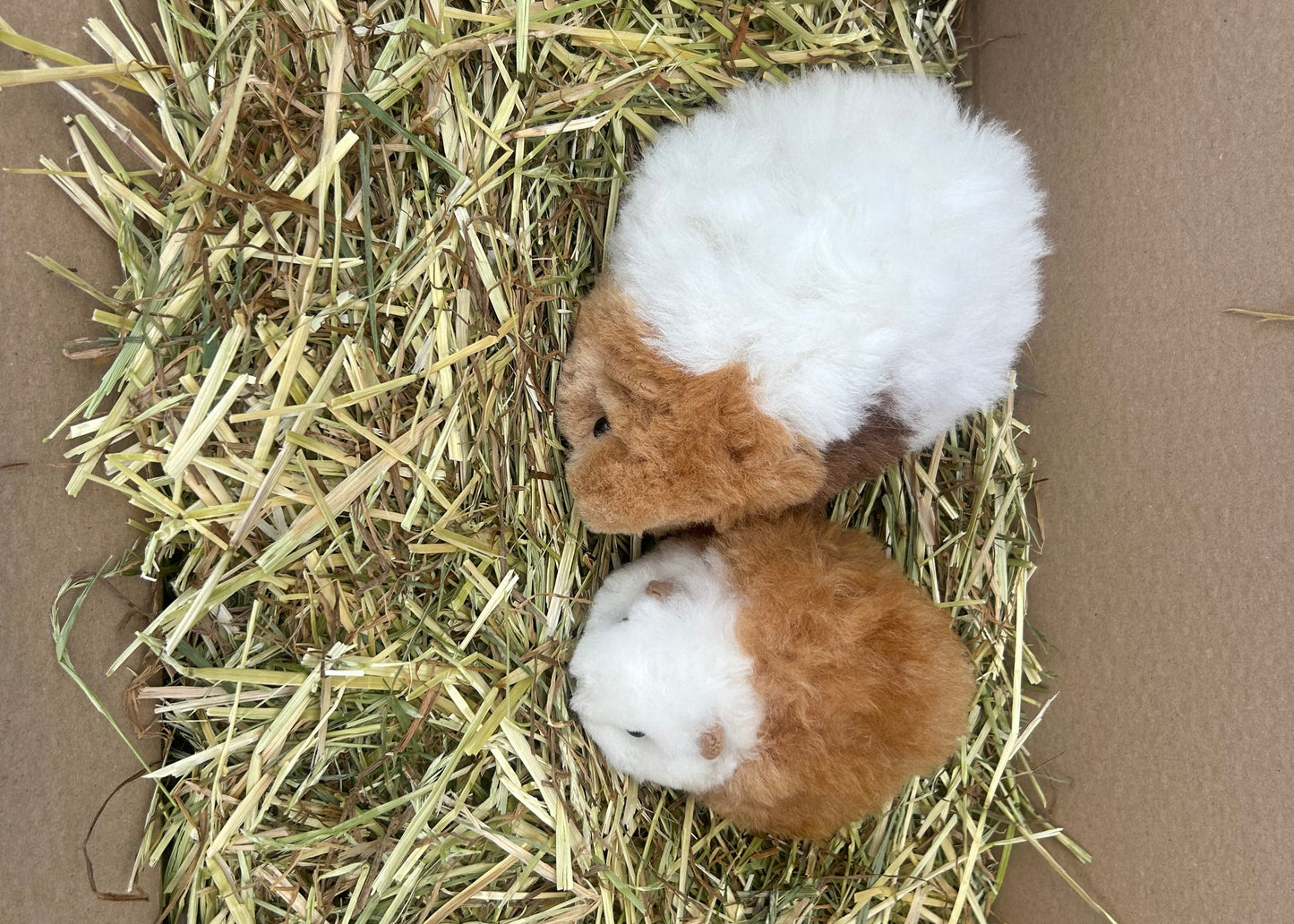 Guinea Pig Cuddly Toy