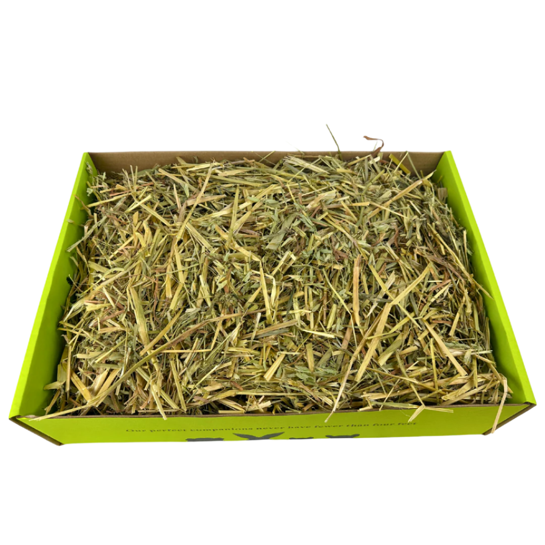 Hay Pay Oat Hay 1kg – The Little Hay Company