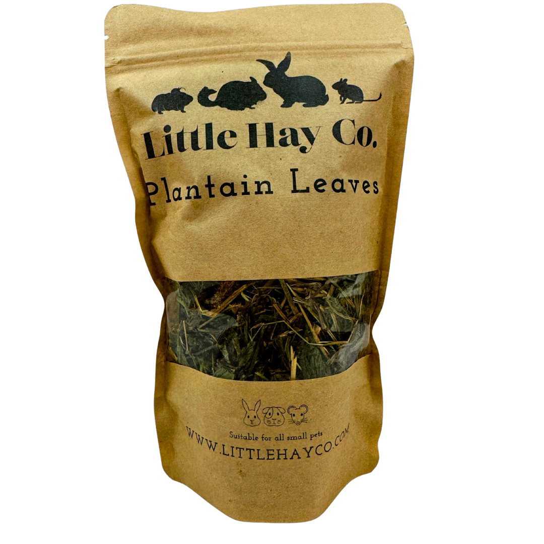 Plantain Leaves for Rabbits, Guinea Pigs and small pets
