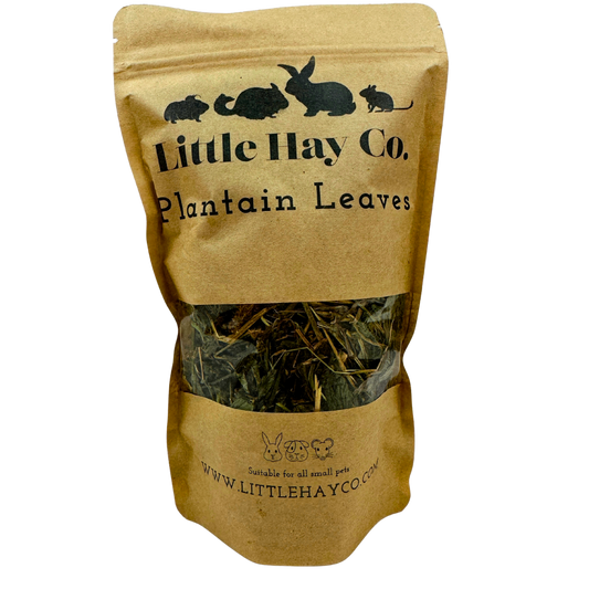 Plantain Leaves for Rabbits, Guinea Pigs and small pets