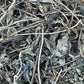Echinacea Leaves