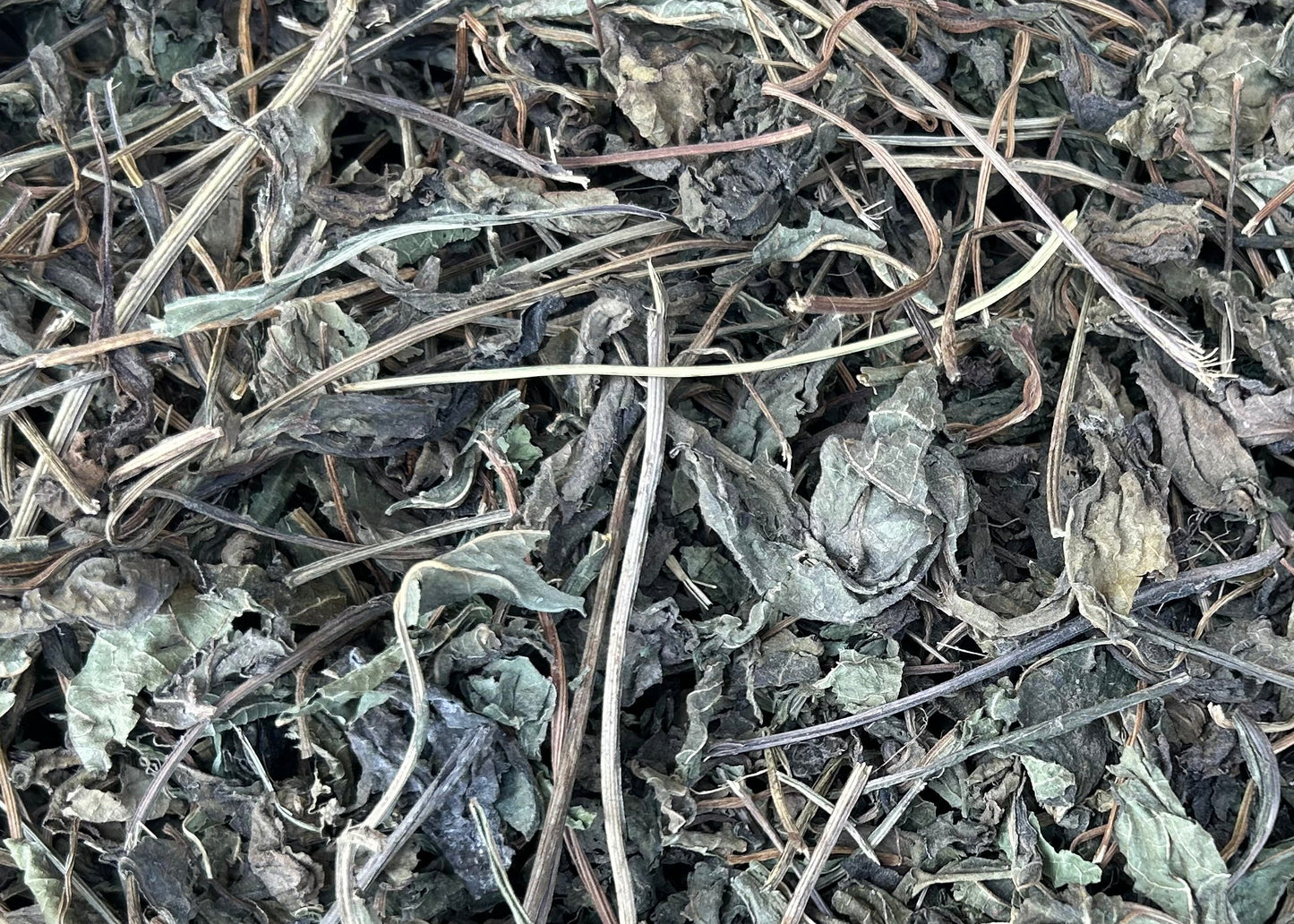 Echinacea Leaves