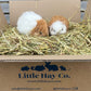 Guinea Pig Cuddly Toy