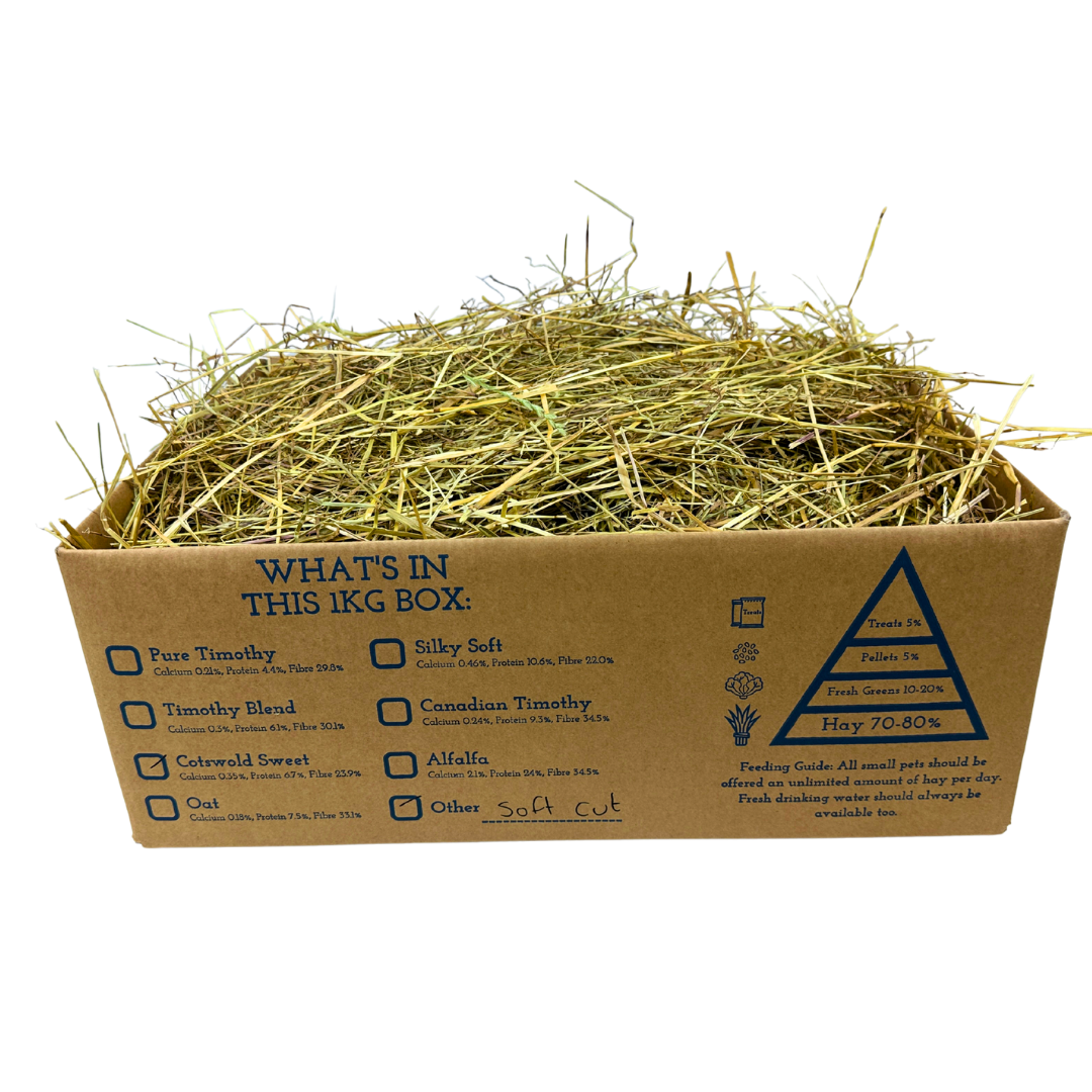 Feeding Hay for small pets