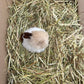 Rabbit Cuddly Toy