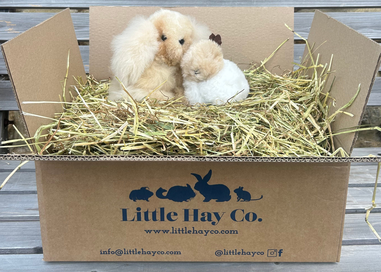 Rabbit Cuddly Toy