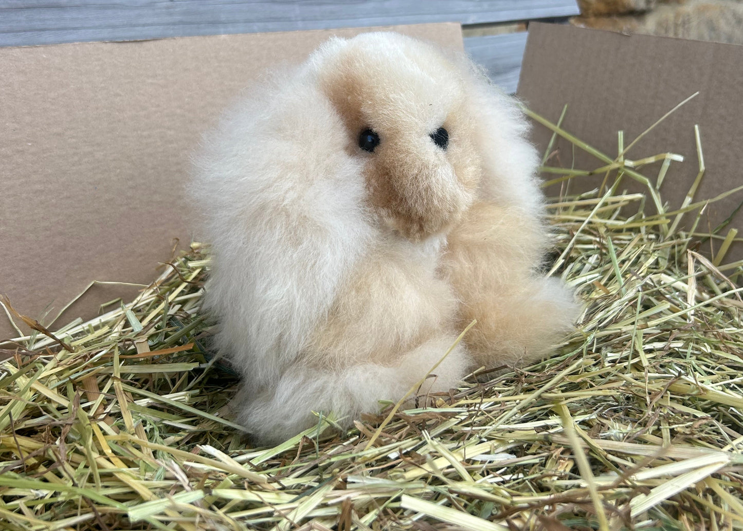 Rabbit Cuddly Toy