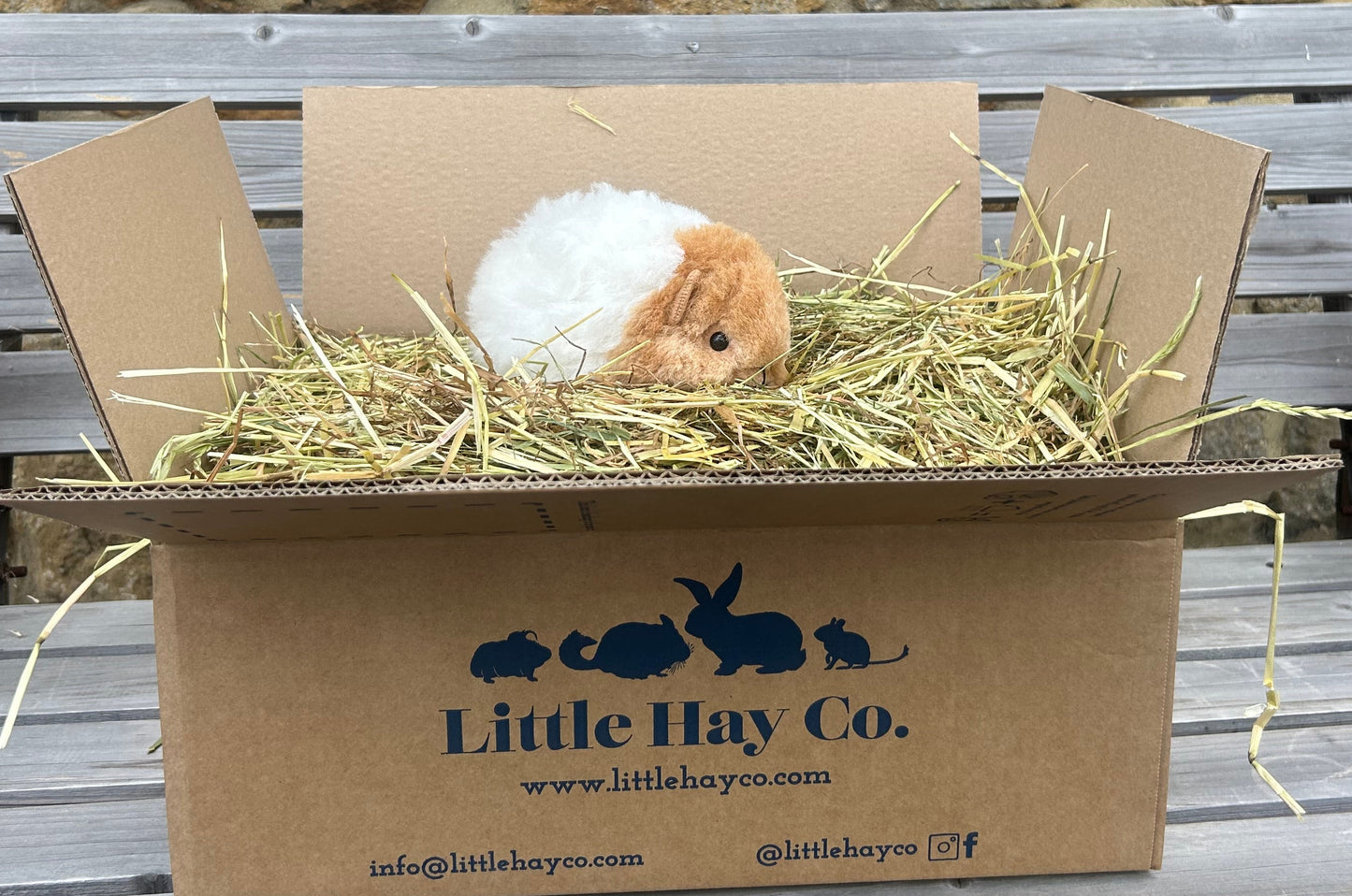 Guinea Pig Cuddly Toy