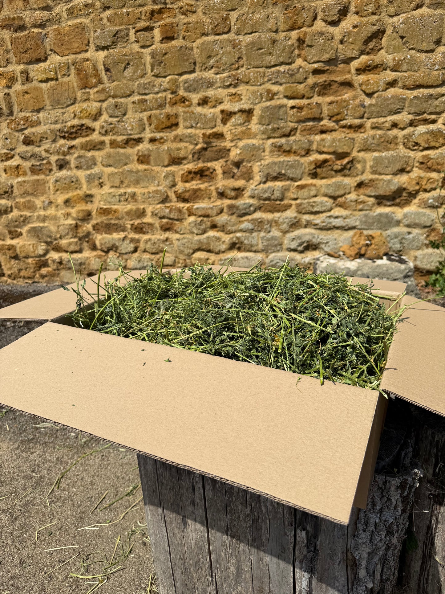 Rescue Appeal Alfalfa Hay