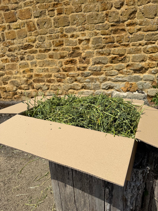 Rescue Appeal Alfalfa Hay