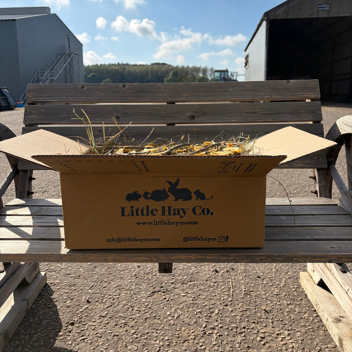 Sunshine Forage Box