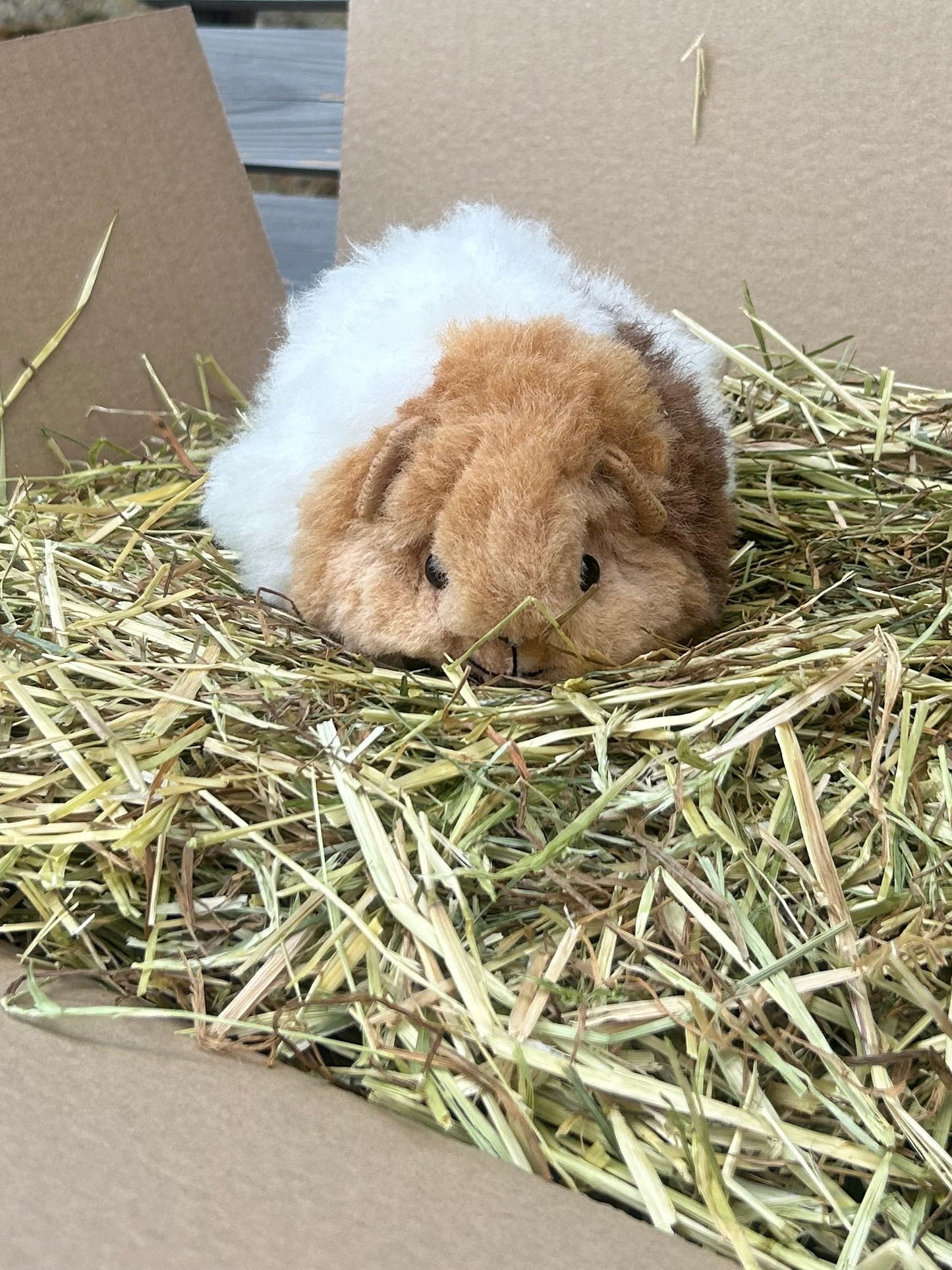 Guinea Pig Cuddly Toy