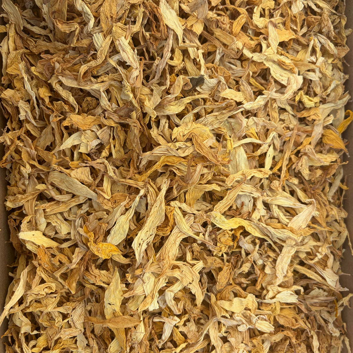 Sunflower Petals