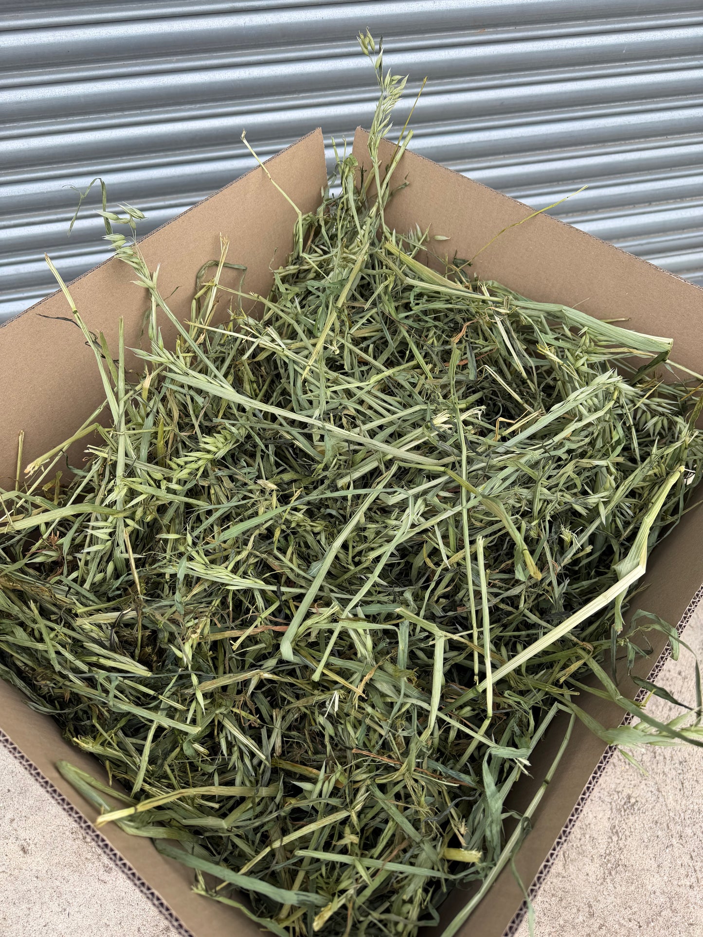 Rescue Appeal Oat Hay