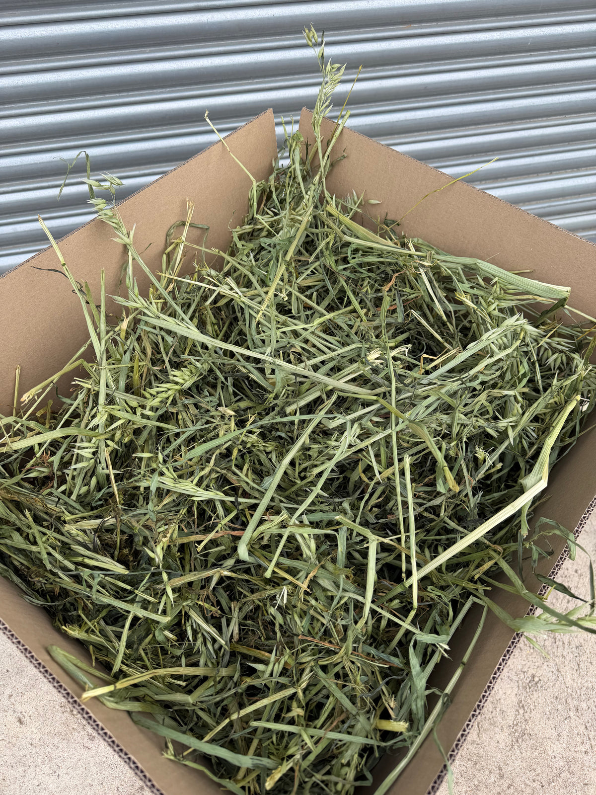 Delicious, Premium Hay Boxes in UK – The Little Hay Company