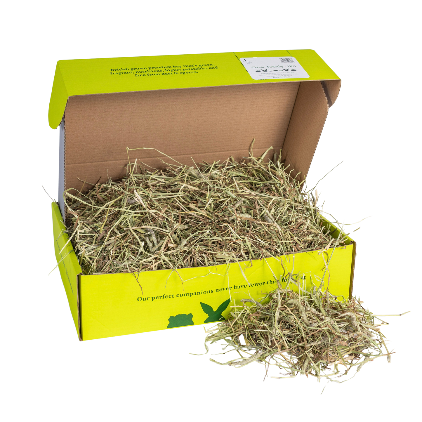 Timothy Hay