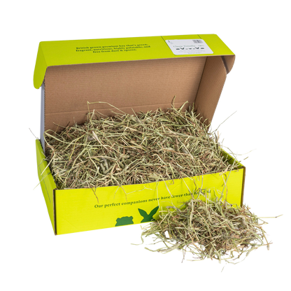 Timothy Hay
