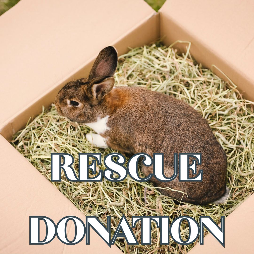 Rescue Box Appeal! Donate an item & Help a Furry Friend in need!