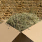Timothy Hay