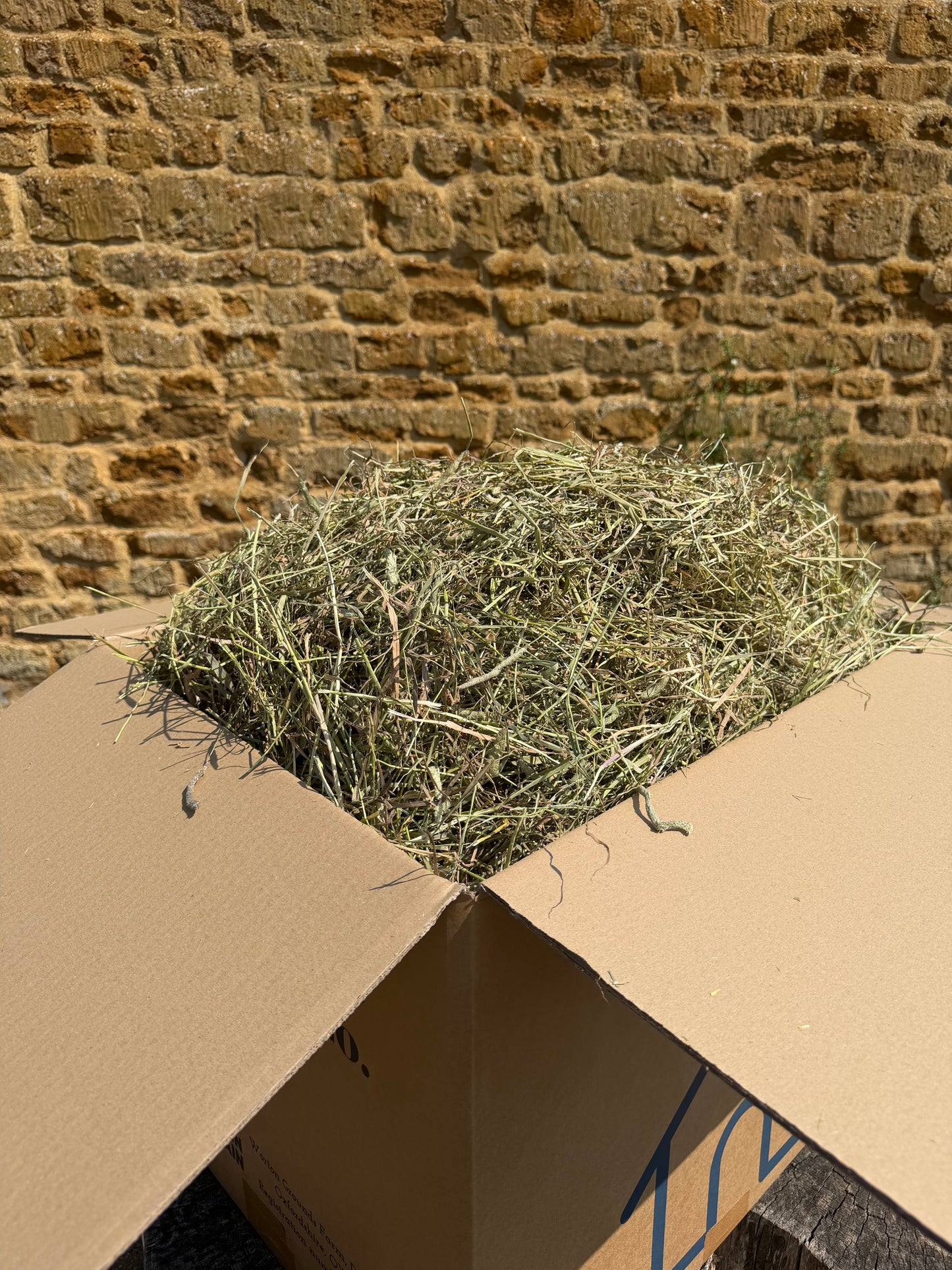 Timothy Hay