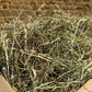 Rescue Appeal Timothy Hay