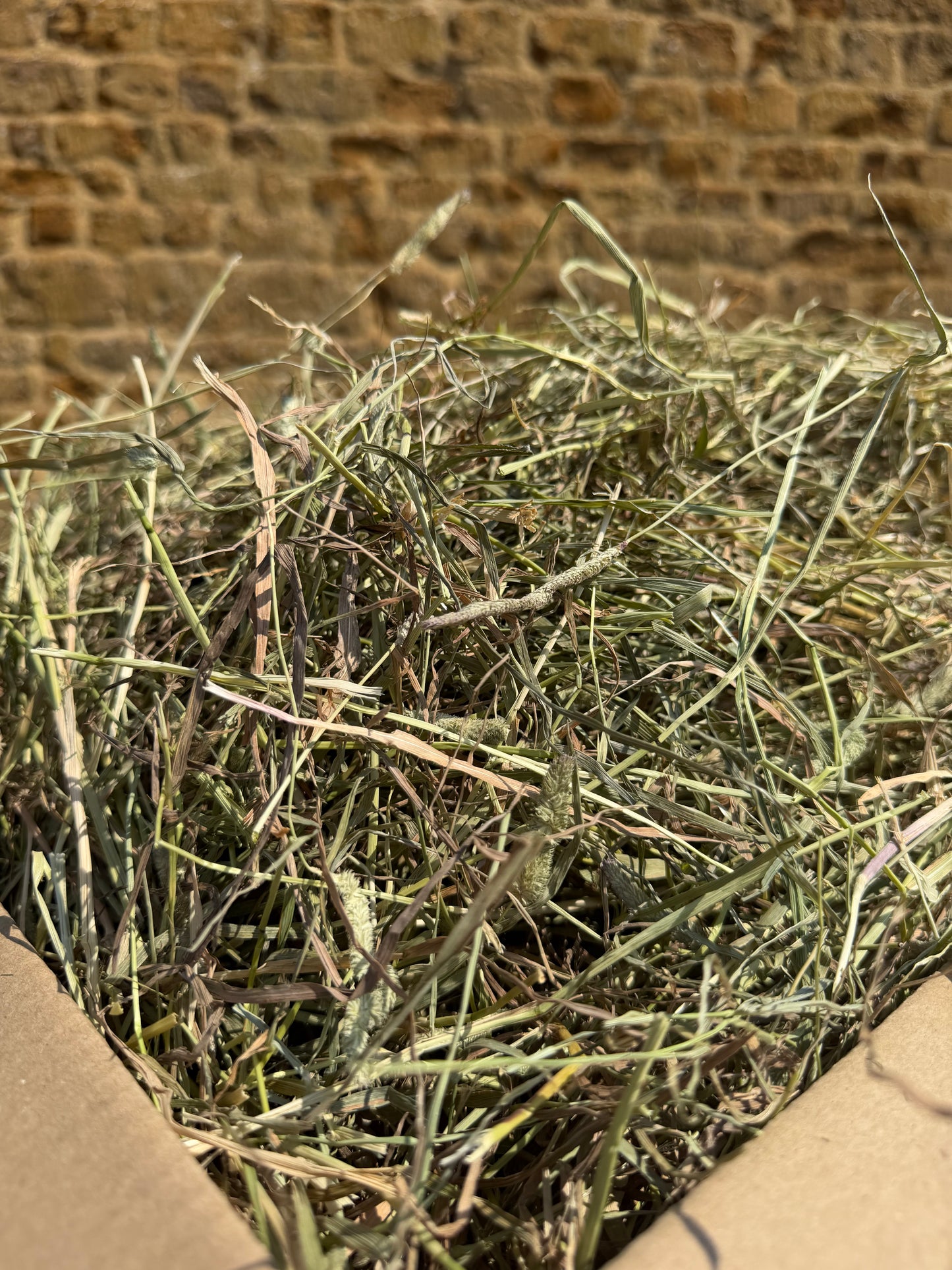 Rescue Appeal Timothy Hay