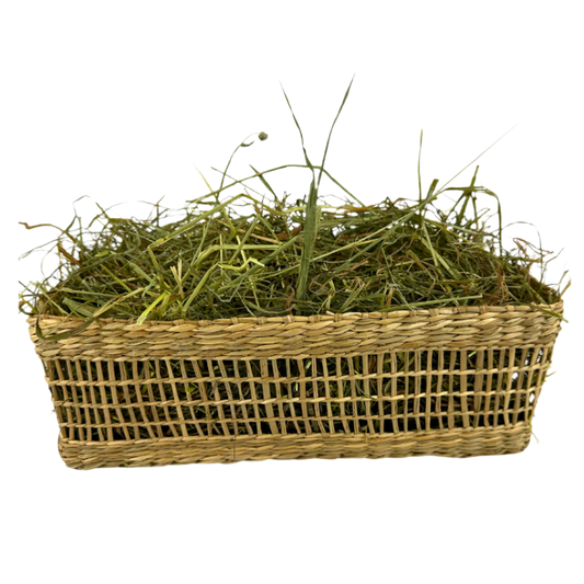 Seagrass Basket