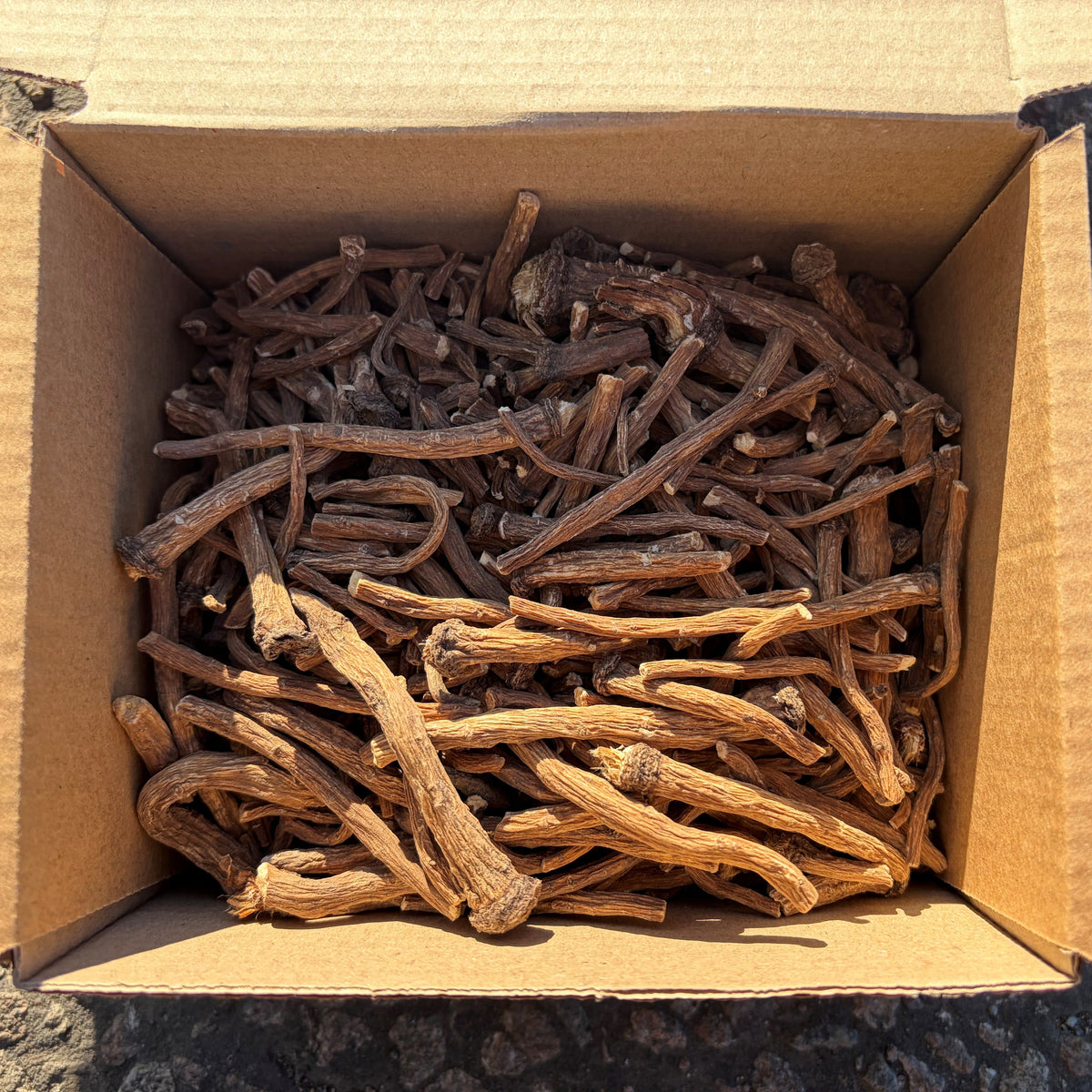 Wonky Dandelion Root