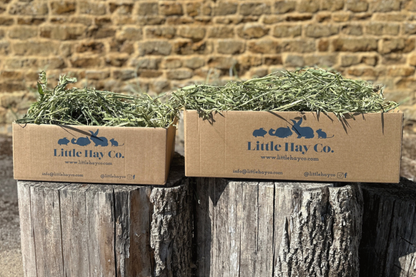 Rescue Appeal Oat Hay