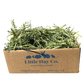 Rescue Appeal Oat Hay