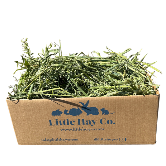 Oat Hay