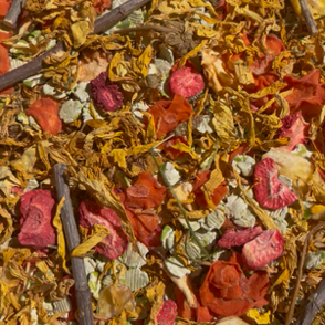 Summer Fruit Forage Box