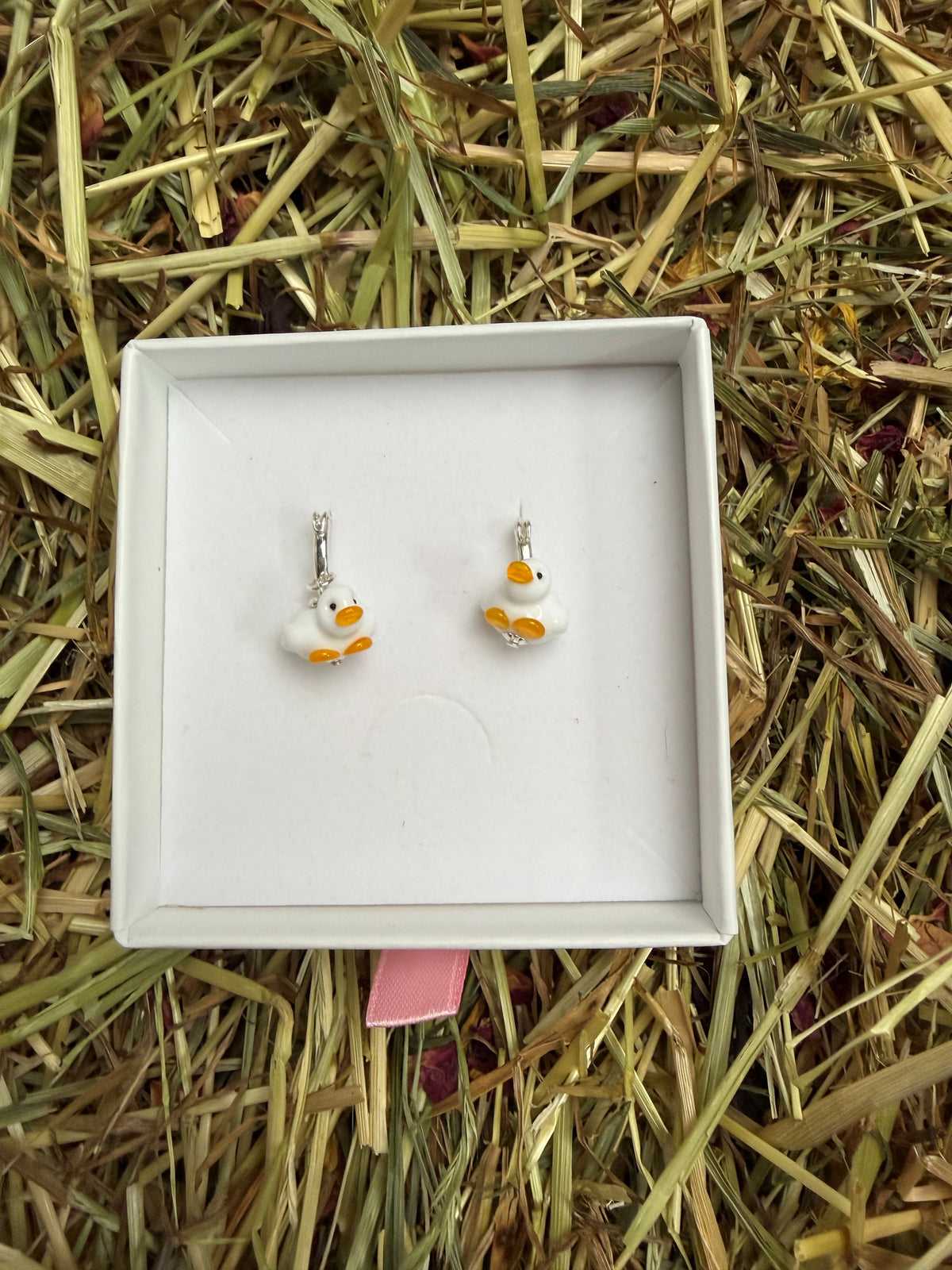 Puddle duck Earrings