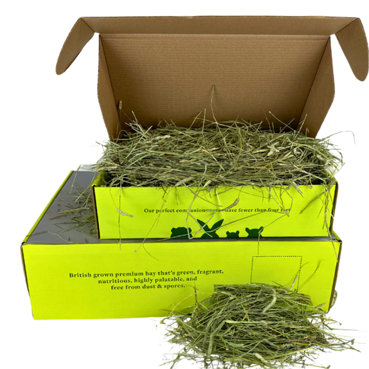 Hay Rfh Feeding Hay for small pets – The Little Hay Company