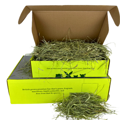 Canadian Timothy Hay