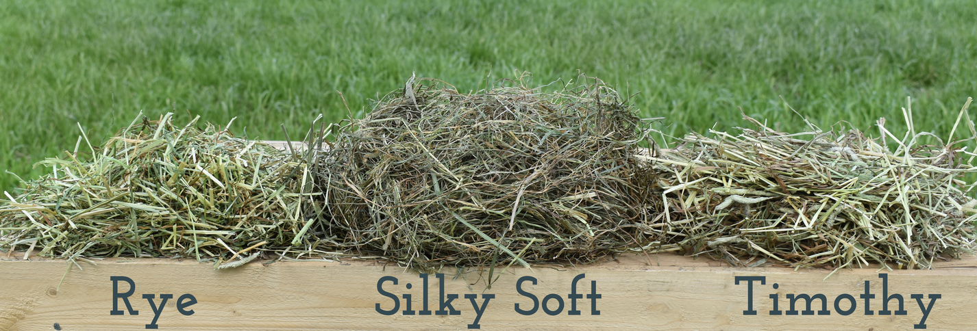 Mixed Tasting Samples of Hay – The Little Hay Company