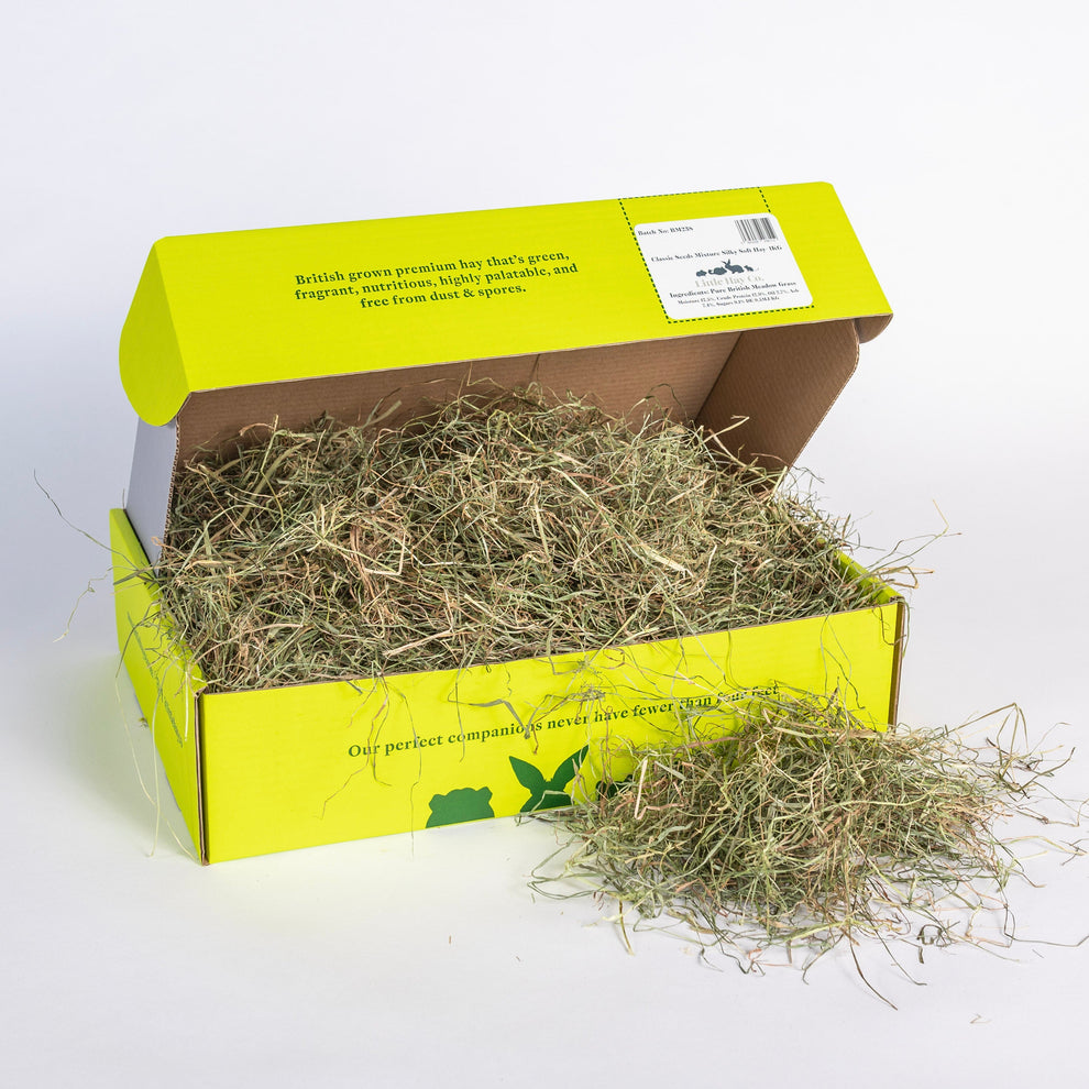 Silky Soft Hay for Rabbits The Little Hay Company